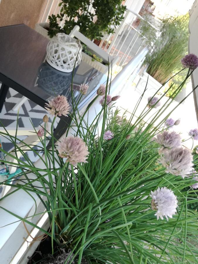 Suite 51 Appartamento Con Terrazzo A 50 Mt Dal Lago - Private Parking (Adults Only) อาโรนา ภายนอก รูปภาพ